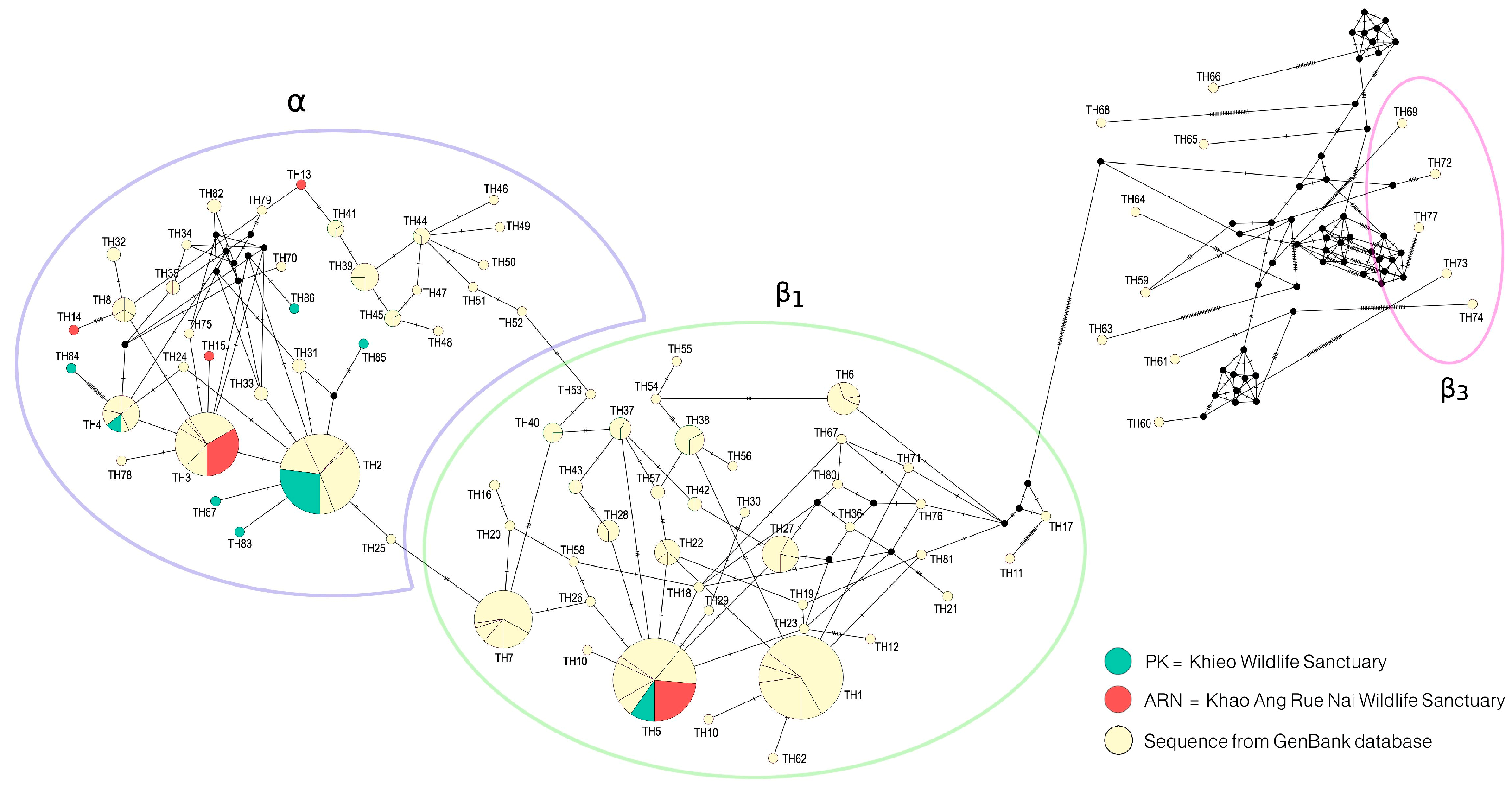 Landscape Features Shape Maternal Genetic Structure of Asian Elephants ...