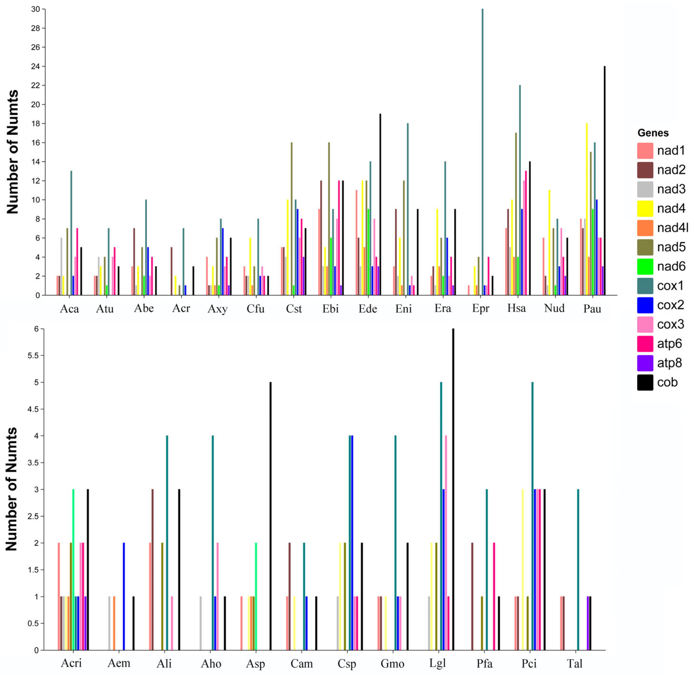 Characterization and Comparative Analyses of Nuclear Mitochondrial DNAs ...