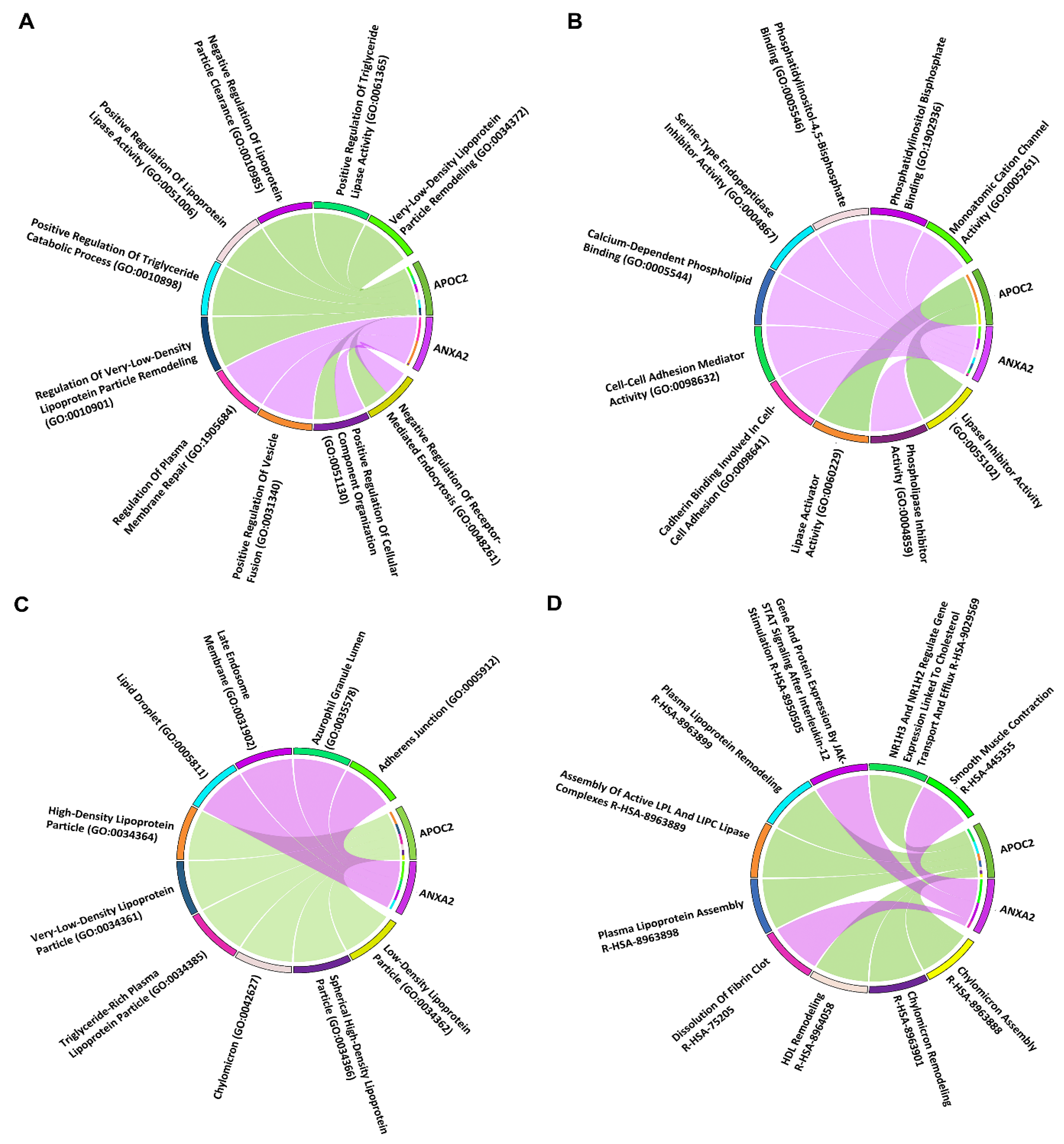Exploring the Prognostic, Mutational and Therapeutic Potential of ANXA2 ...