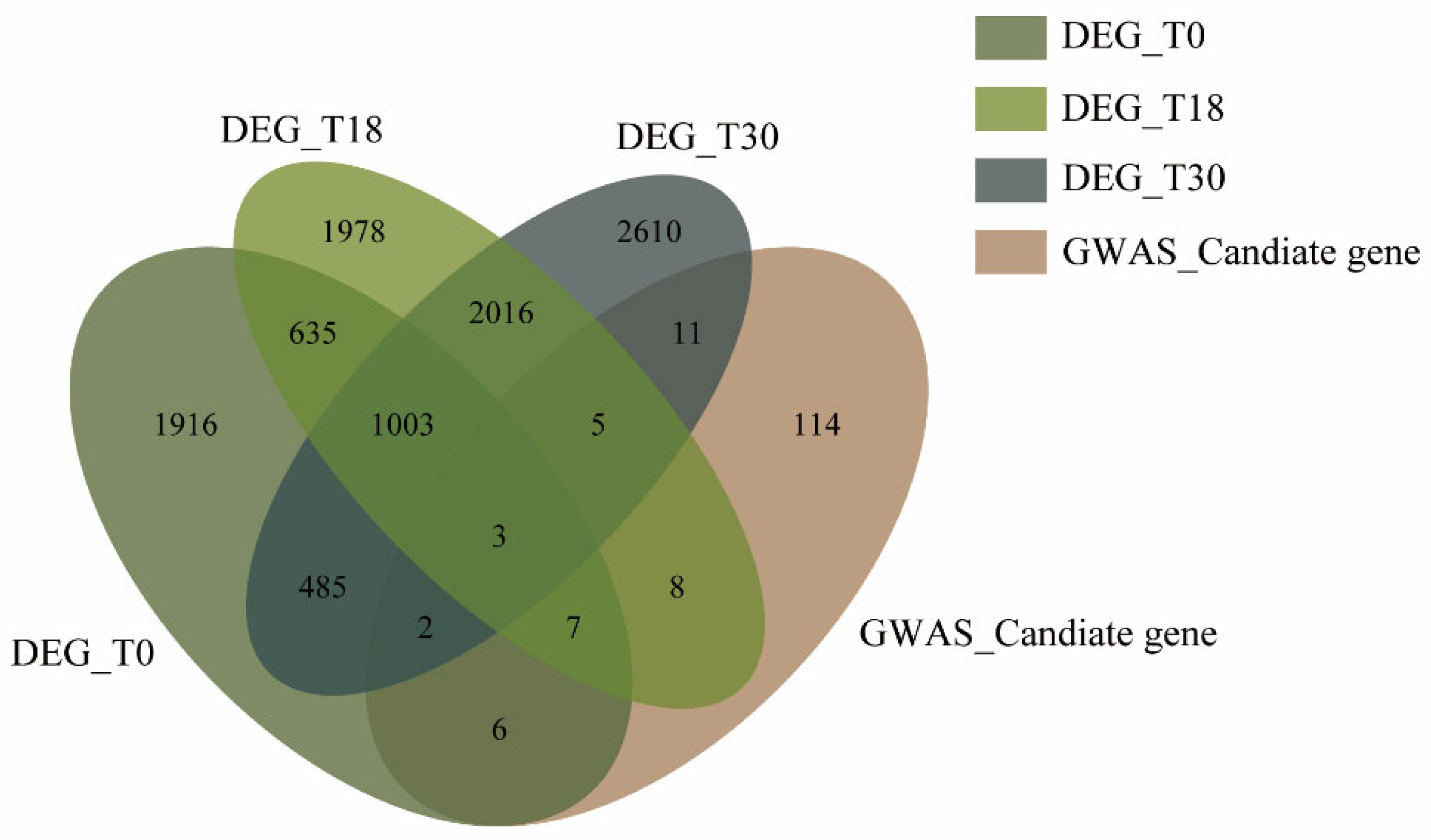 Genome-Wide Association Study and Candidate Gene Identification for ...