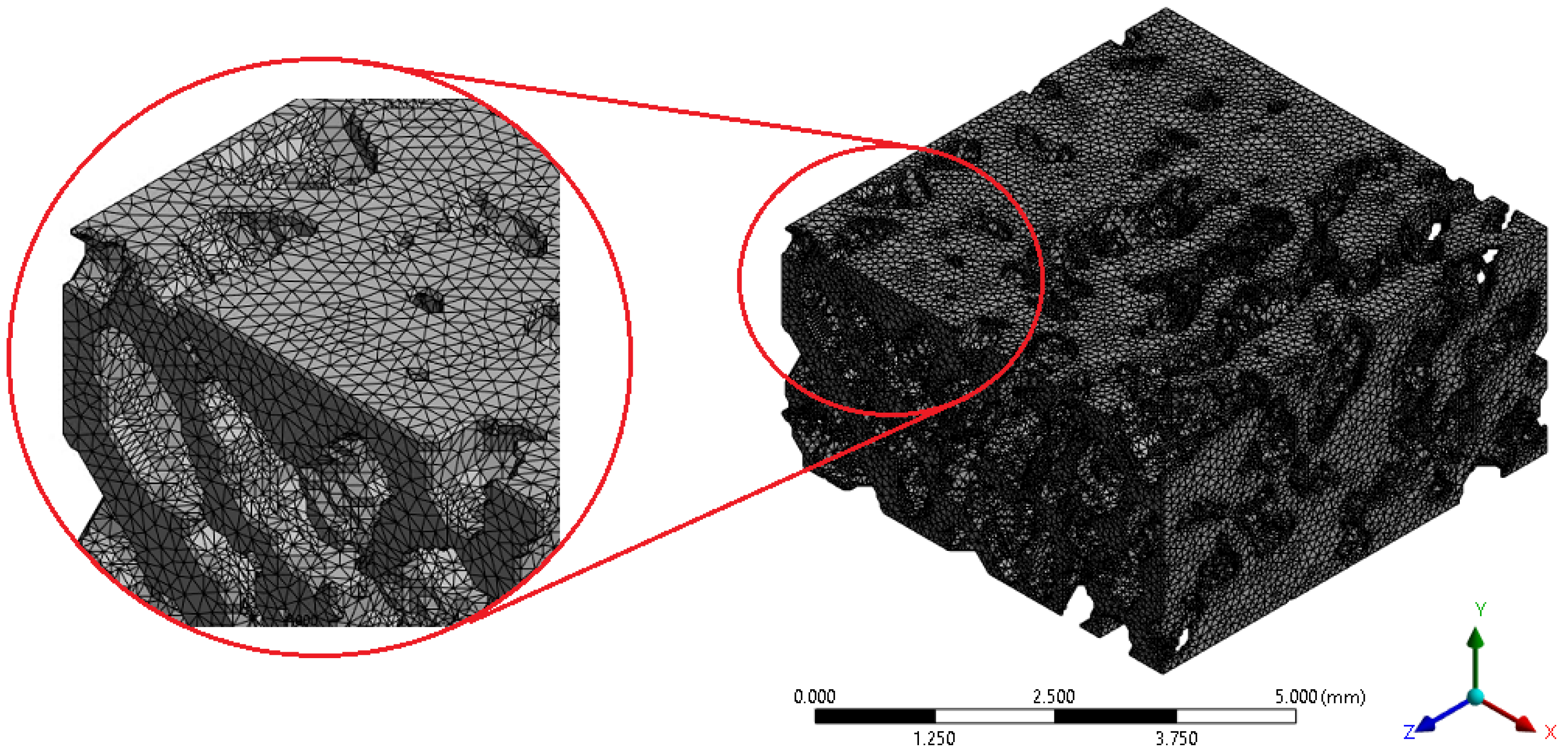 A Specimen-Based Comparative MicroCT–FEA Analysis of Vertebral ...