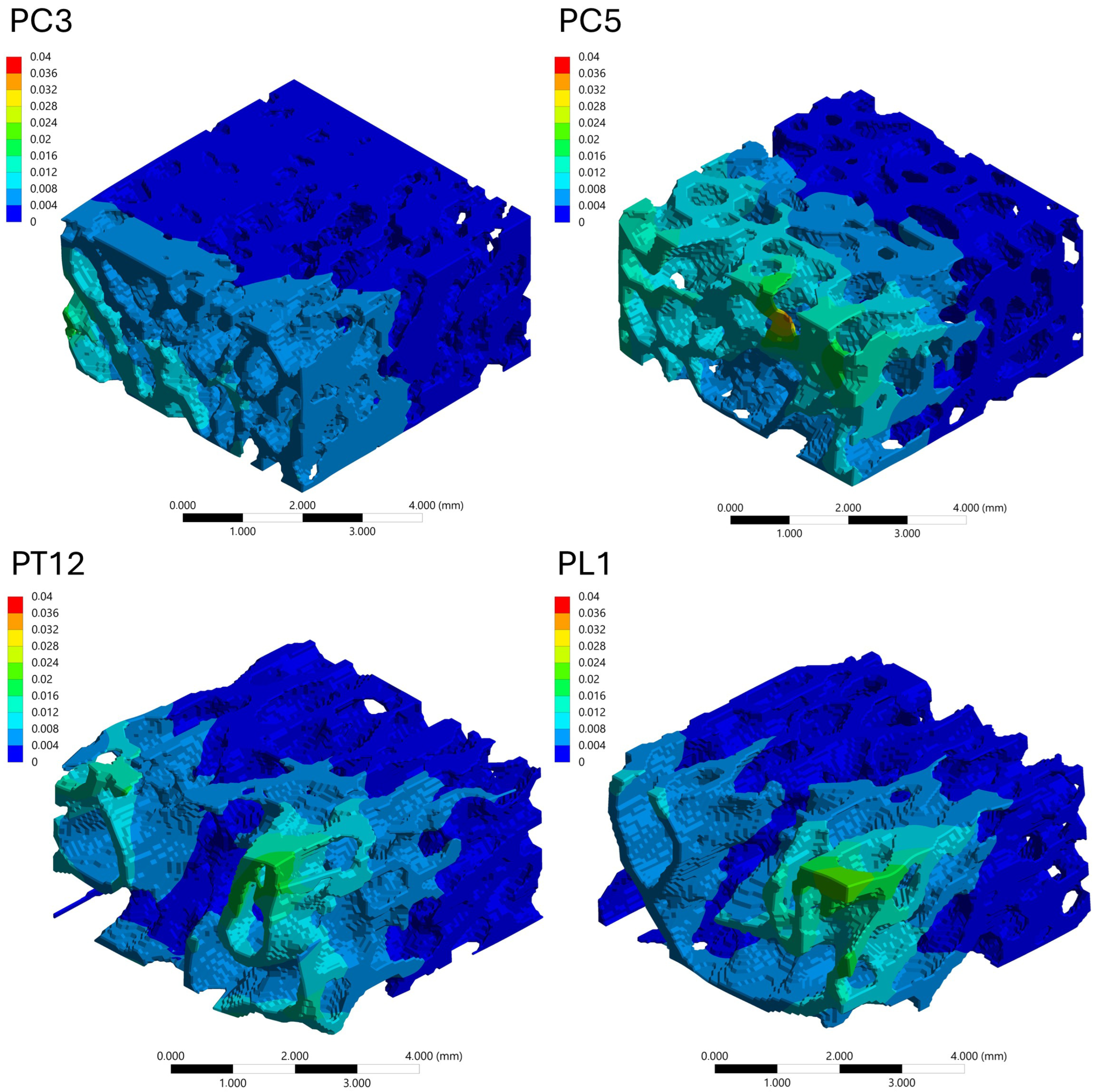 A Specimen-Based Comparative MicroCT–FEA Analysis of Vertebral ...