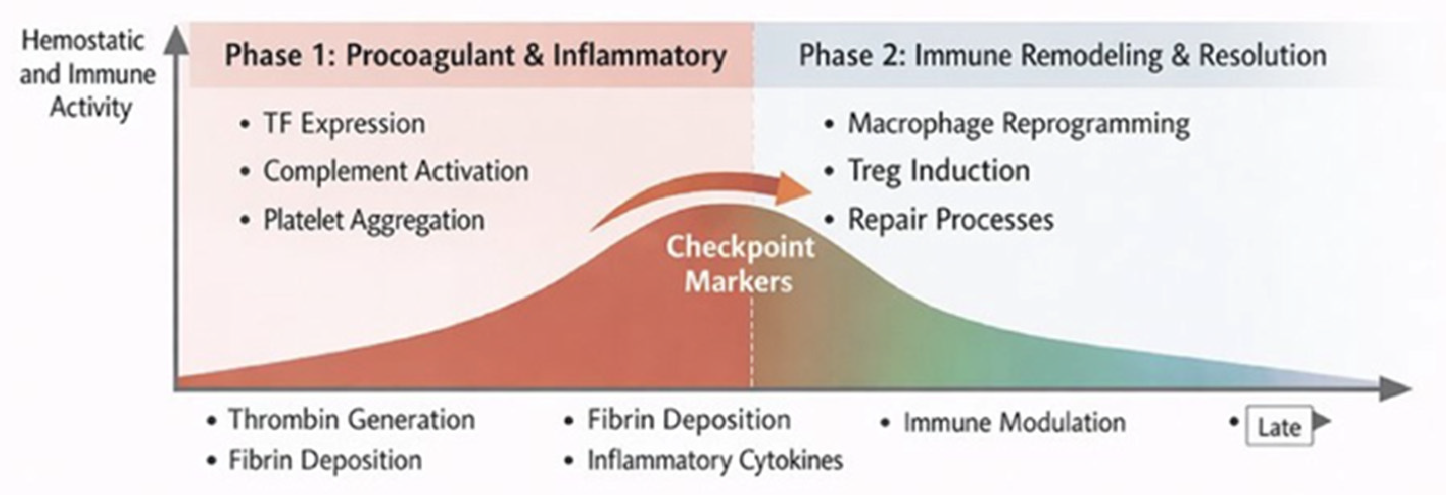 Mesenchymal Stromal Cells at the Interface of Hemostasis and ...