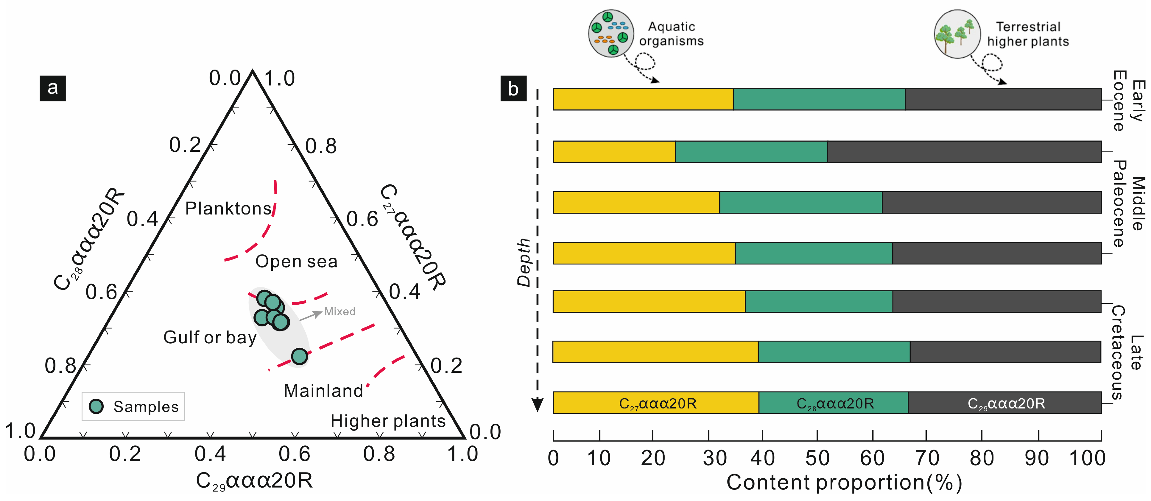 Tracing Marine Algal and Terrestrial Plant Inputs During Cenozoic ...