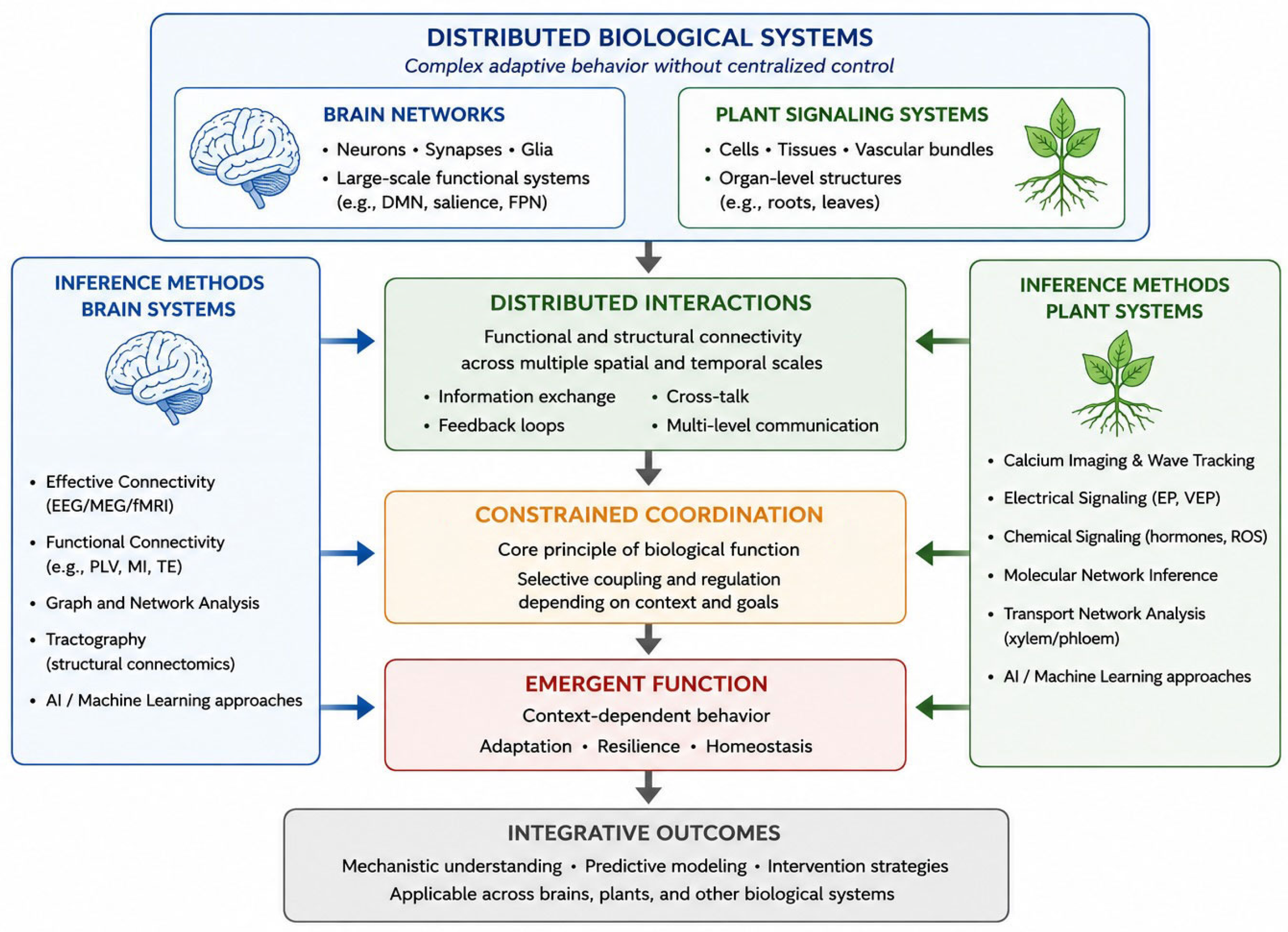 From Localization to Coordination: Distributed Causality and the ...