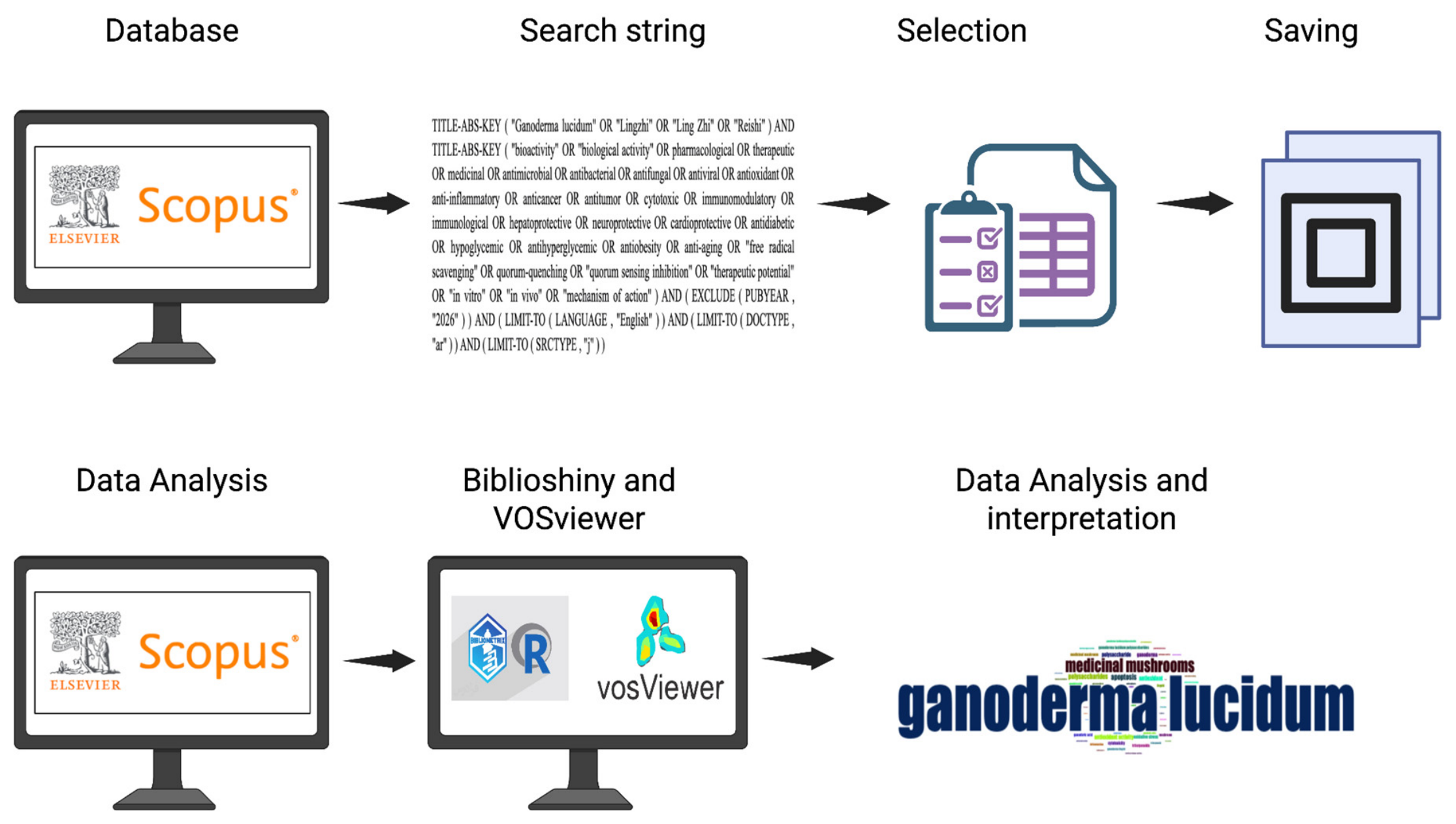 Bioactivity Research in Ganoderma lucidum: A Scientometric Analysis of ...