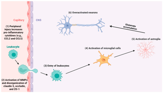 Biology | Special Issue : Molecular and Cellular Mechanisms of ...