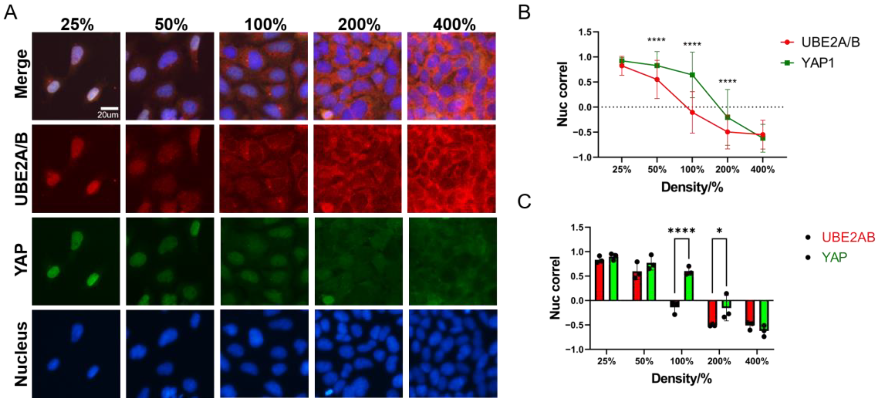 Nucleus Basic N-Terminal Basic Helix and S120 Phosphorylation Cooperatively Regulate ...