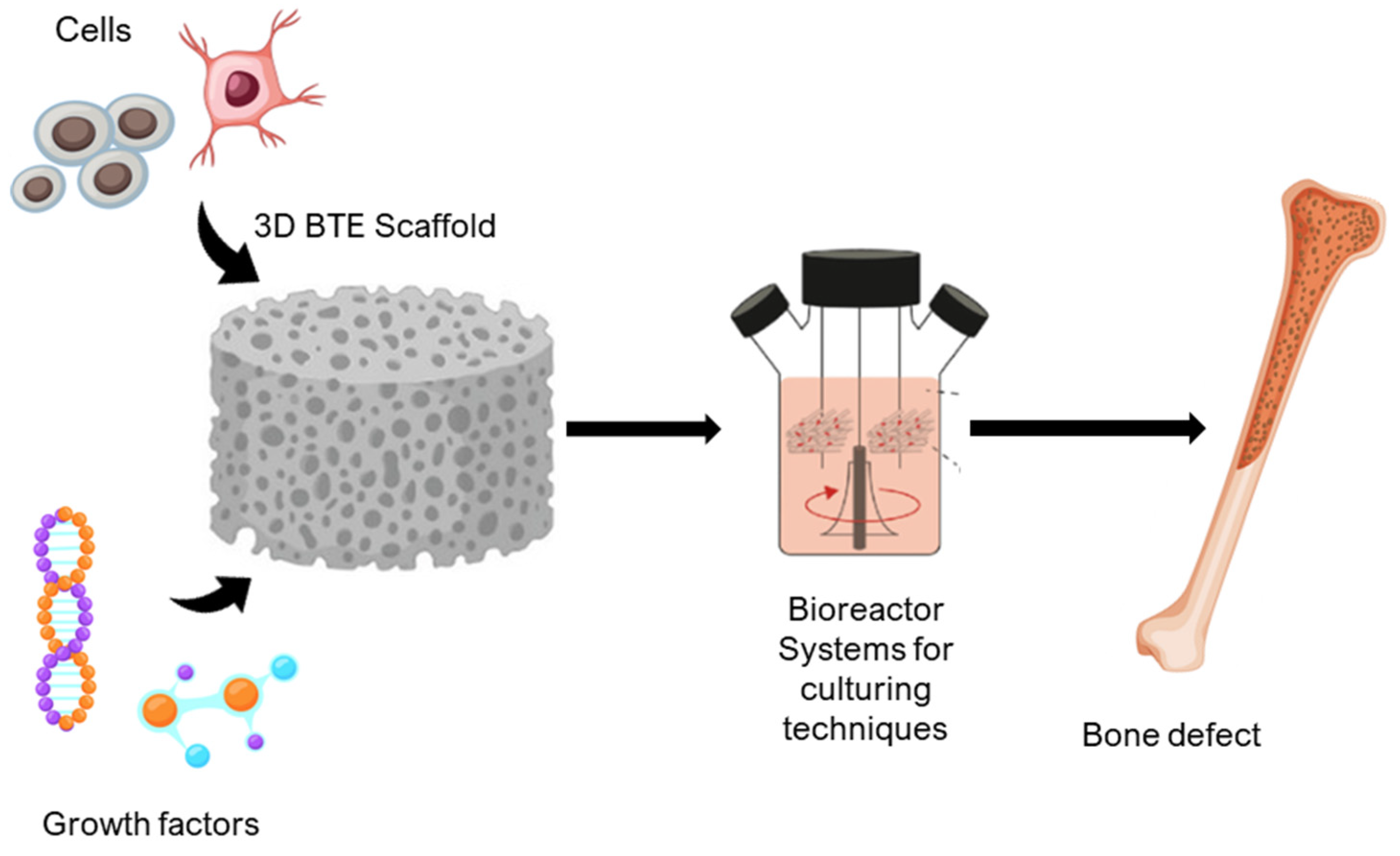 Advances In Computational Modeling Of Scaffolds For Bone Tissue Advances In Computational Modeling Of Scaffolds For Bone Tissue