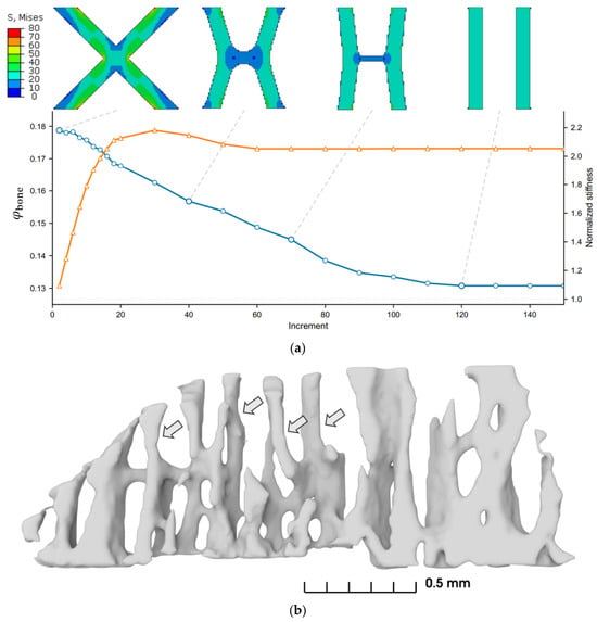 3.4.4. docstrings — biomechanical analysis using... Biomechanics | An Open Access Journal from MDPI
