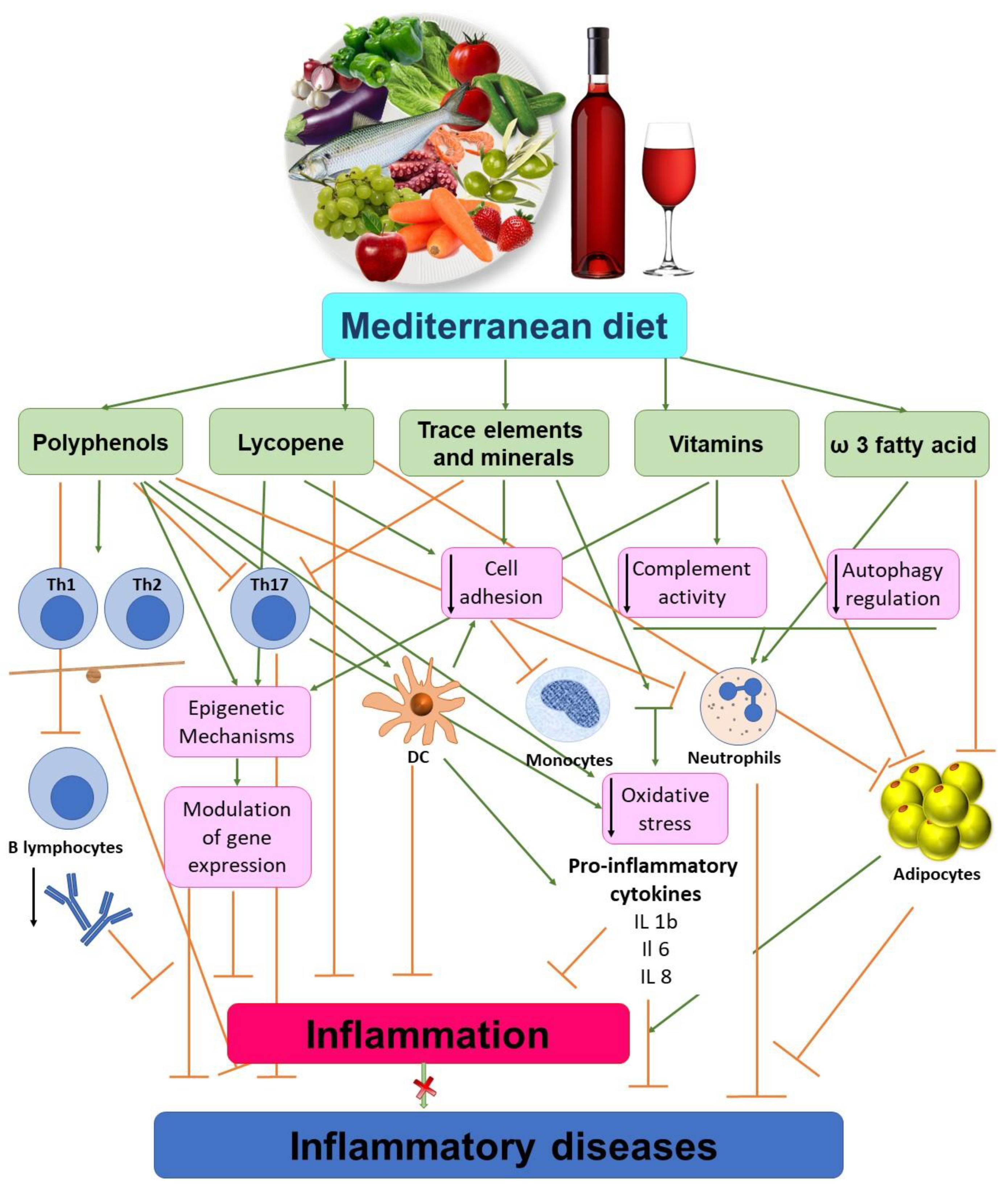 The Mediterranean Diet and Improving Liver Function in Individuals With Autoimmune Liver Diseases