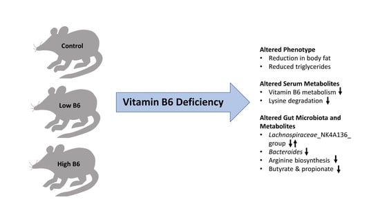 Biomedicines | Free Full-Text | Dietary Vitamin B6 Deficiency Impairs Gut  Microbiota and Host and Microbial Metabolites in Rats