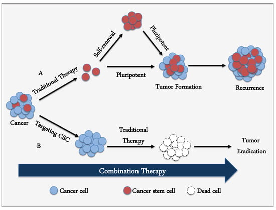 Paclitaxel Based Chemotherapy Targeting Cancer Stem Cells From Mono To Combination Therapy 1959