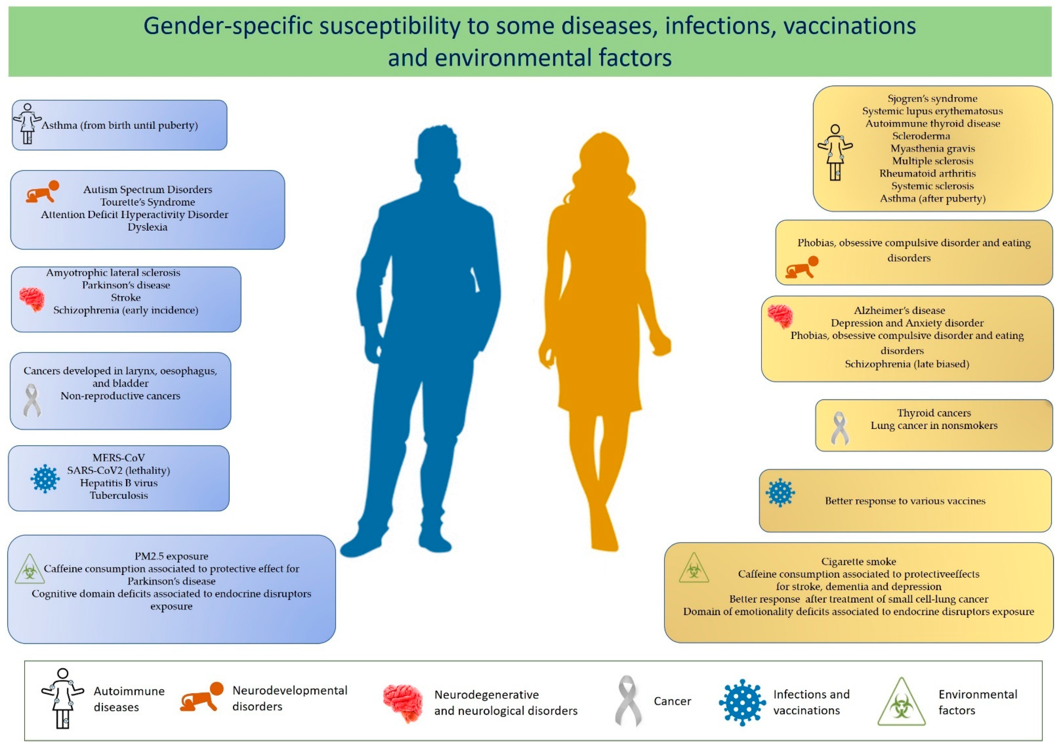 Biomedicines Free Full-Text Gender Specific Differences in Disease Susceptibility The Role of Epigenetics