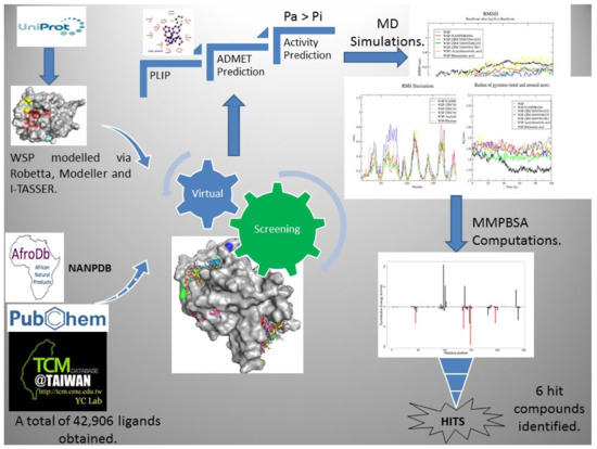 Biomedicines | Free Full-Text | Molecular Docking Simulation