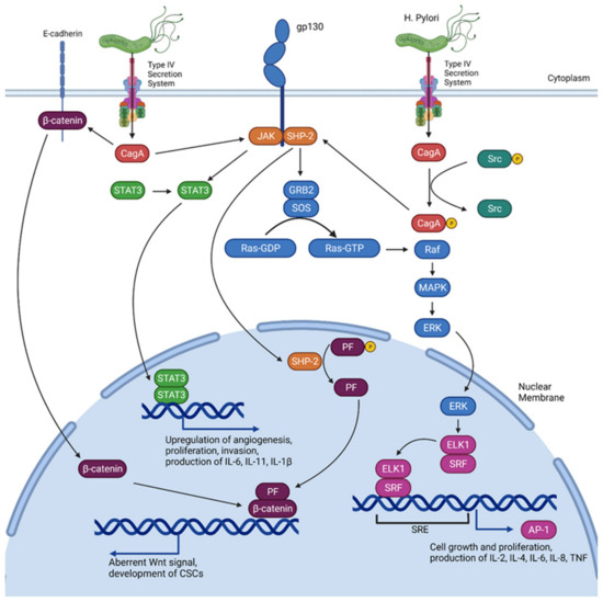 Biomedicines | Free Full-Text | Peripheral Cytokine Levels as a ...