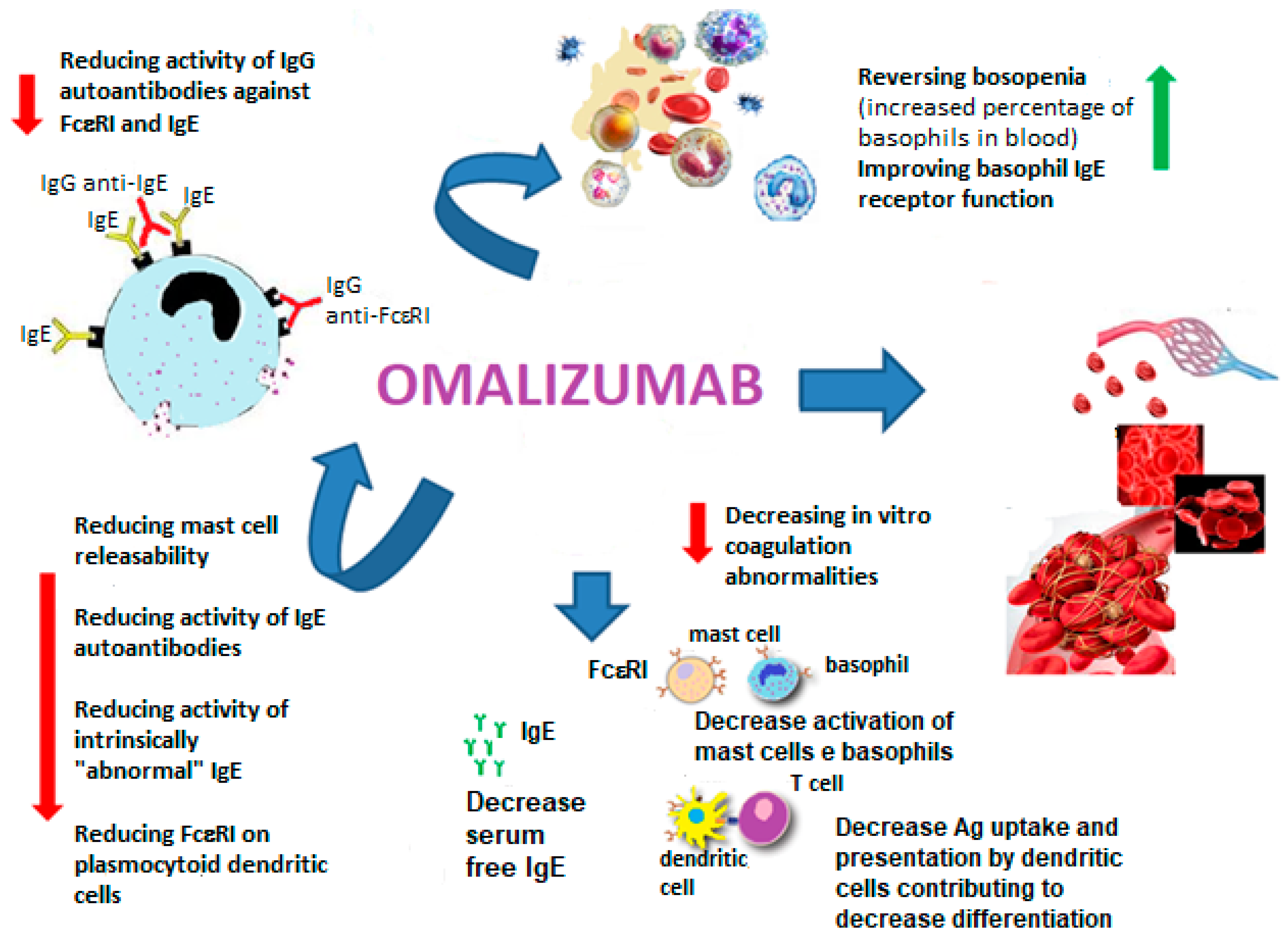 biomedicines-free-full-text-sex-allergic-diseases-and-omalizumab