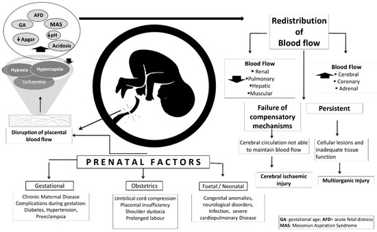 Với sự suy biến động mạch động vật thai nhi, nếu bạn muốn hiểu rõ hơn về quá trình này và ảnh hưởng của nó đến thai nhi, hãy xem hình ảnh liên quan. Từ đó, bạn sẽ được giải thích các vấn đề cơ bản và các phương pháp điều trị khác nhau.