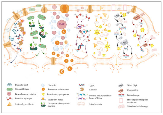 Biocides as Biomedicines against Foodborne Pathogenic Bacteria