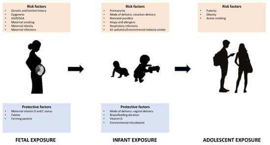 Biomedicines | Free Full-Text | Time-Specific Factors Influencing The ...