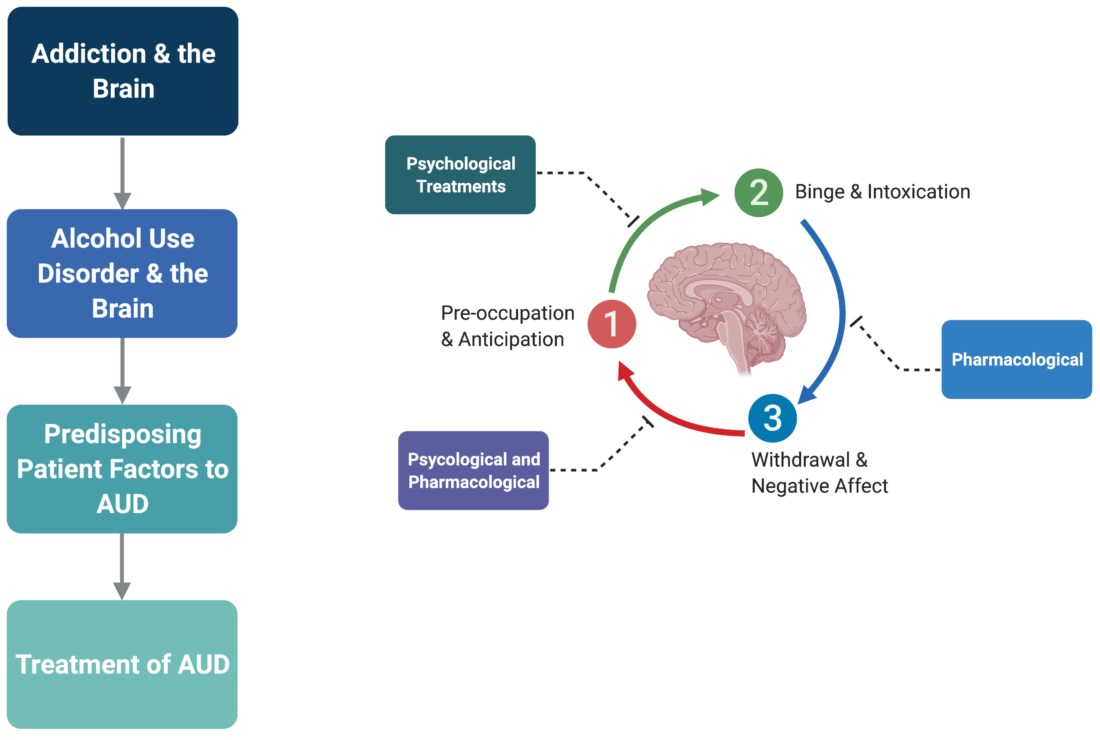 Biomedicines | Free Full-Text | Alcohol Use Disorder: Neurobiology