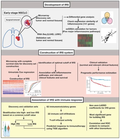 Biomedicines | Free Full-Text | Novel Inflammasome-Based Risk Score for ...