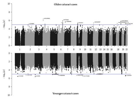 Polygenic Risk Score Improves Cataract Prediction in East Asian Population