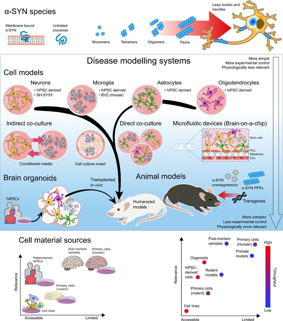 Biomedicines, Free Full-Text