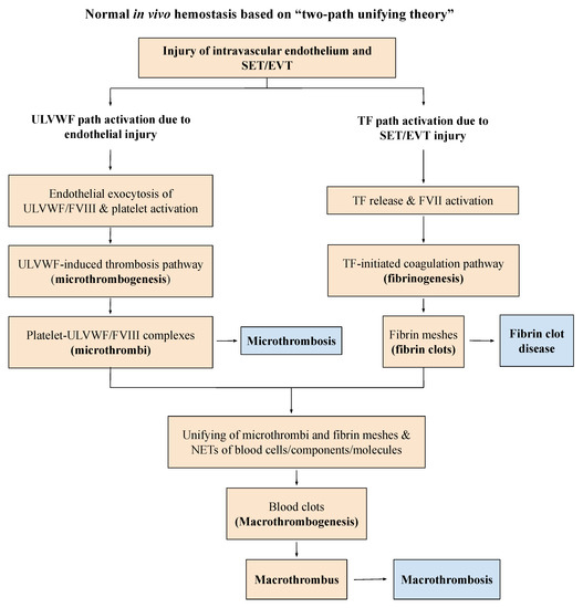 What does it mean to be intravascularly dry but extravascularly