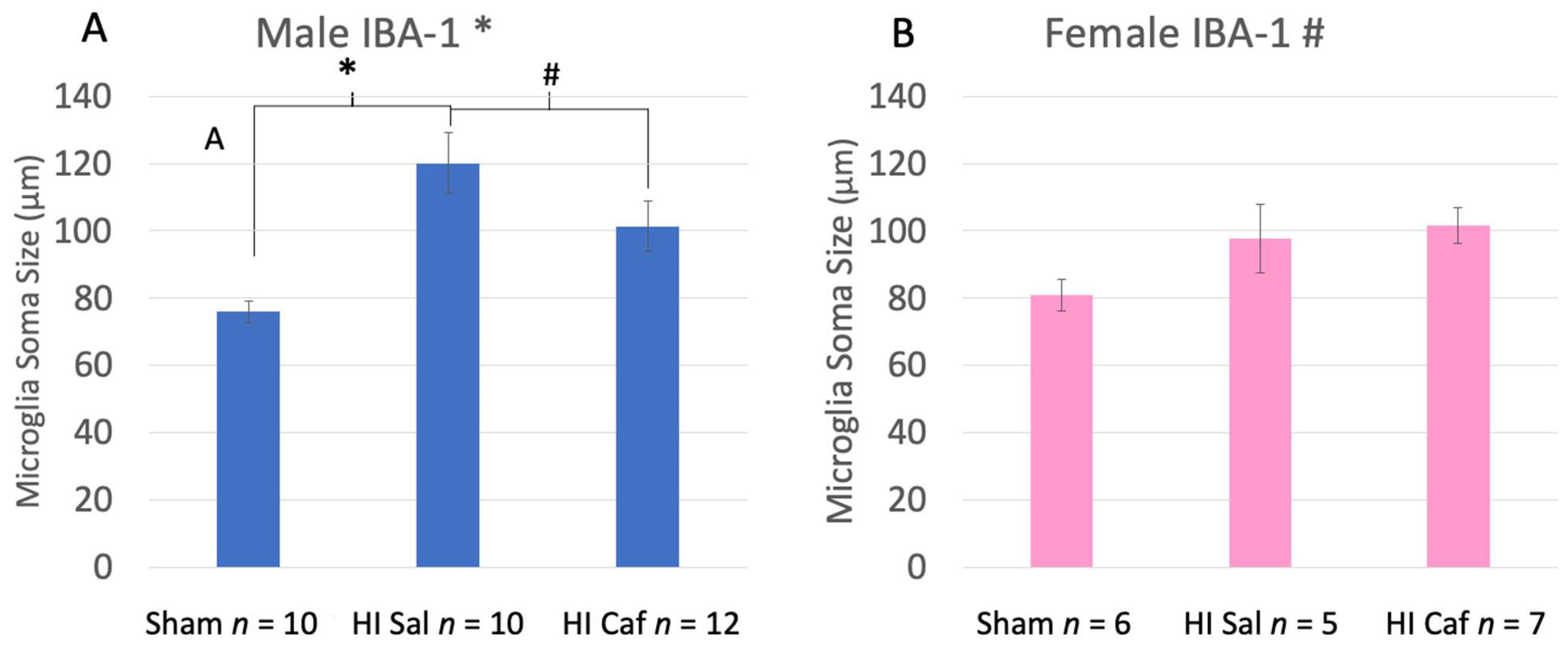 Biomedicines Free Full Text Sex Differences In Microglia Activation