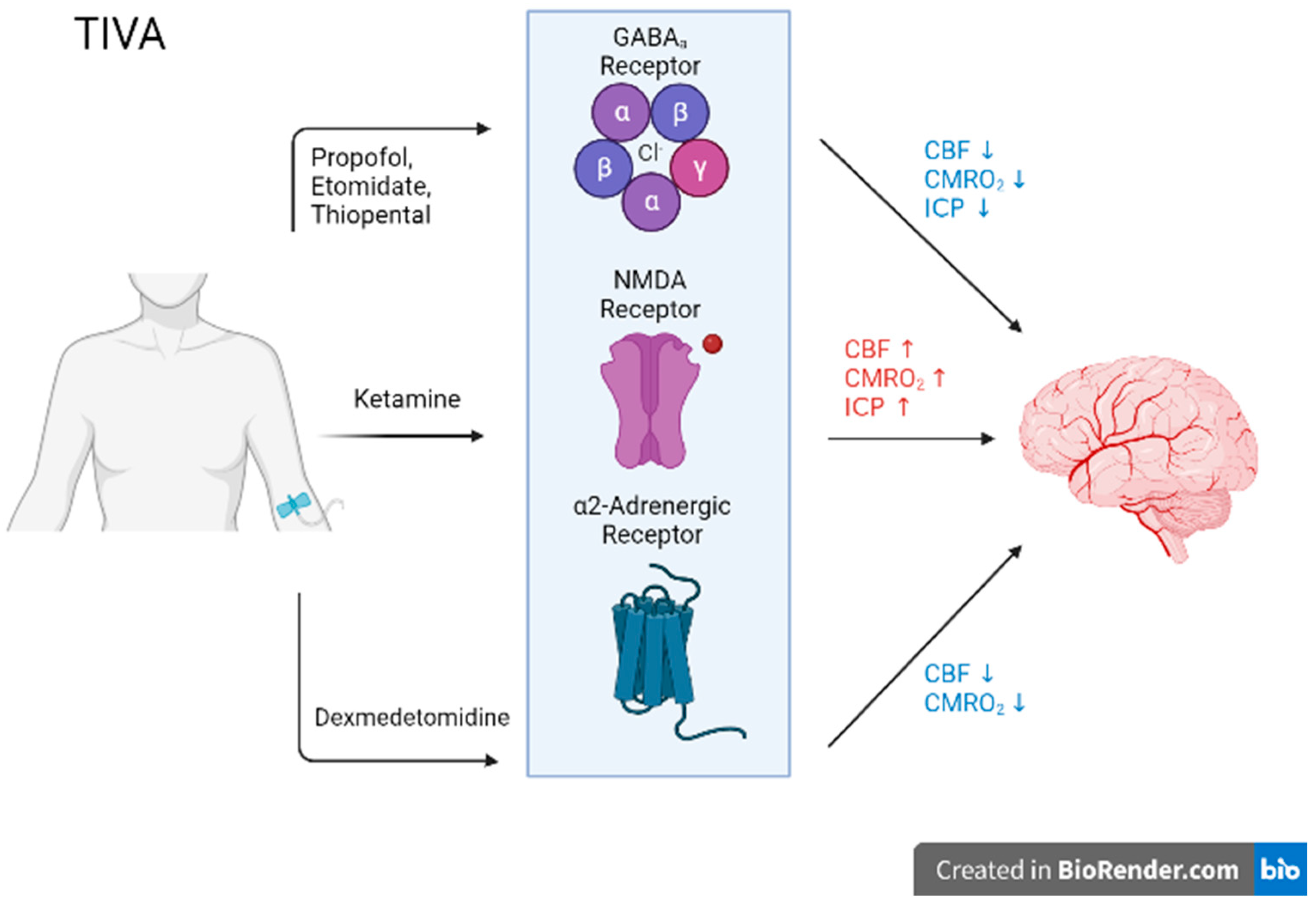 Biomedicines, Free Full-Text