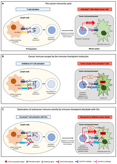 Biomedicines, Free Full-Text