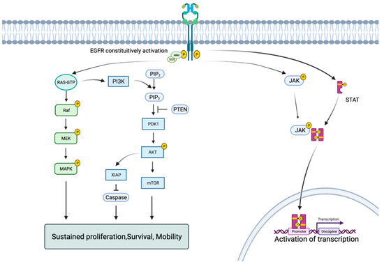 Biomedicines | Free Full-Text | Making the Best Use of Available ...