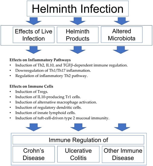 Biomedicines, Free Full-Text