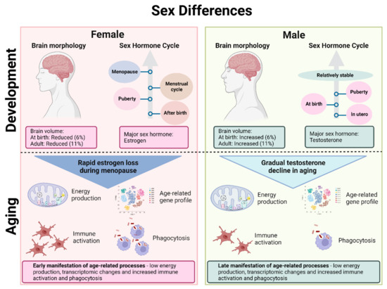 Biomedicines Free Full Text Complexity Of Sex Differences And Their Impact On Alzheimers 5250