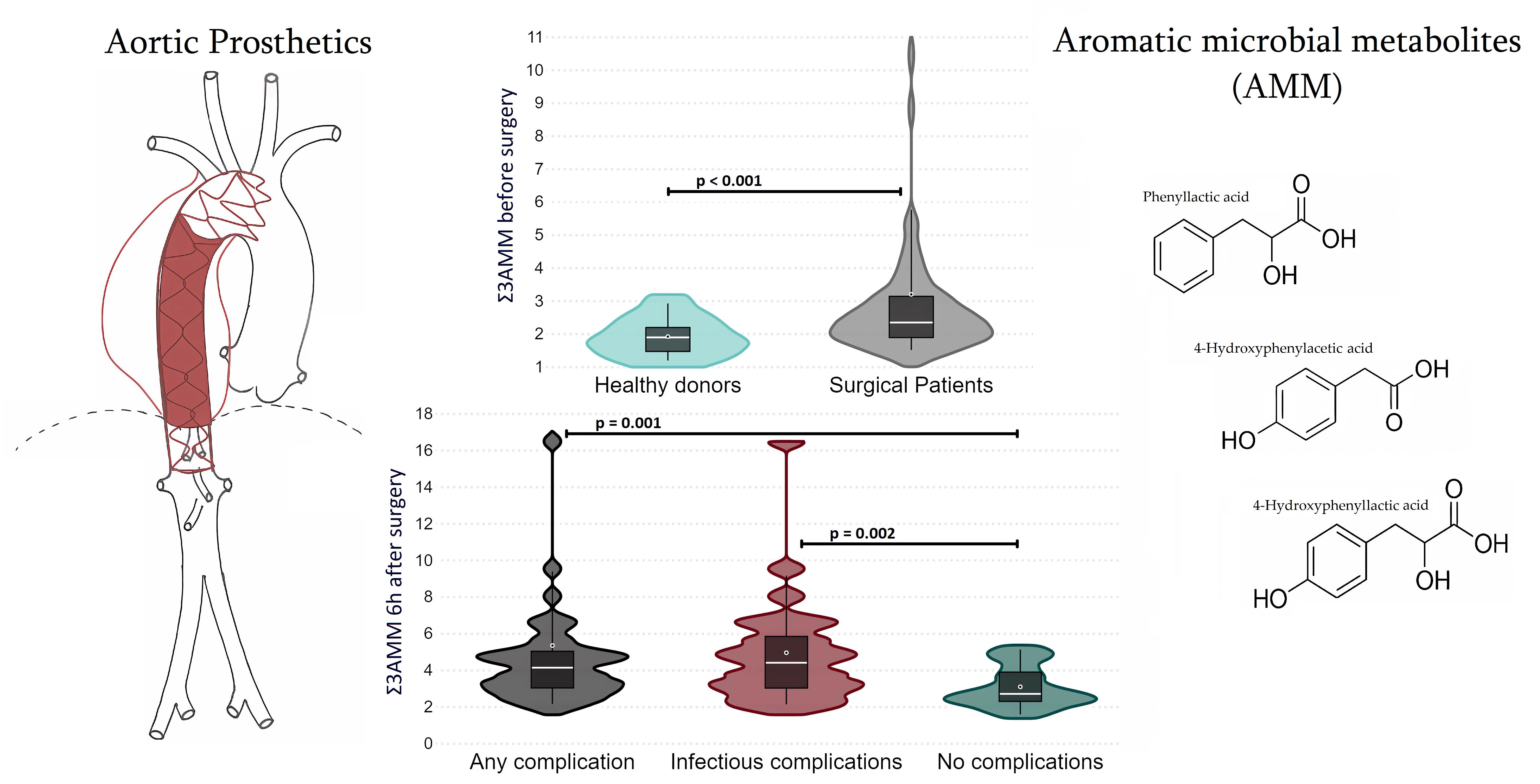 Biomedicines | Free Full-Text | Microbiota Metabolism Failure as a Risk  Factor for Postoperative Complications after Aortic Prosthetics