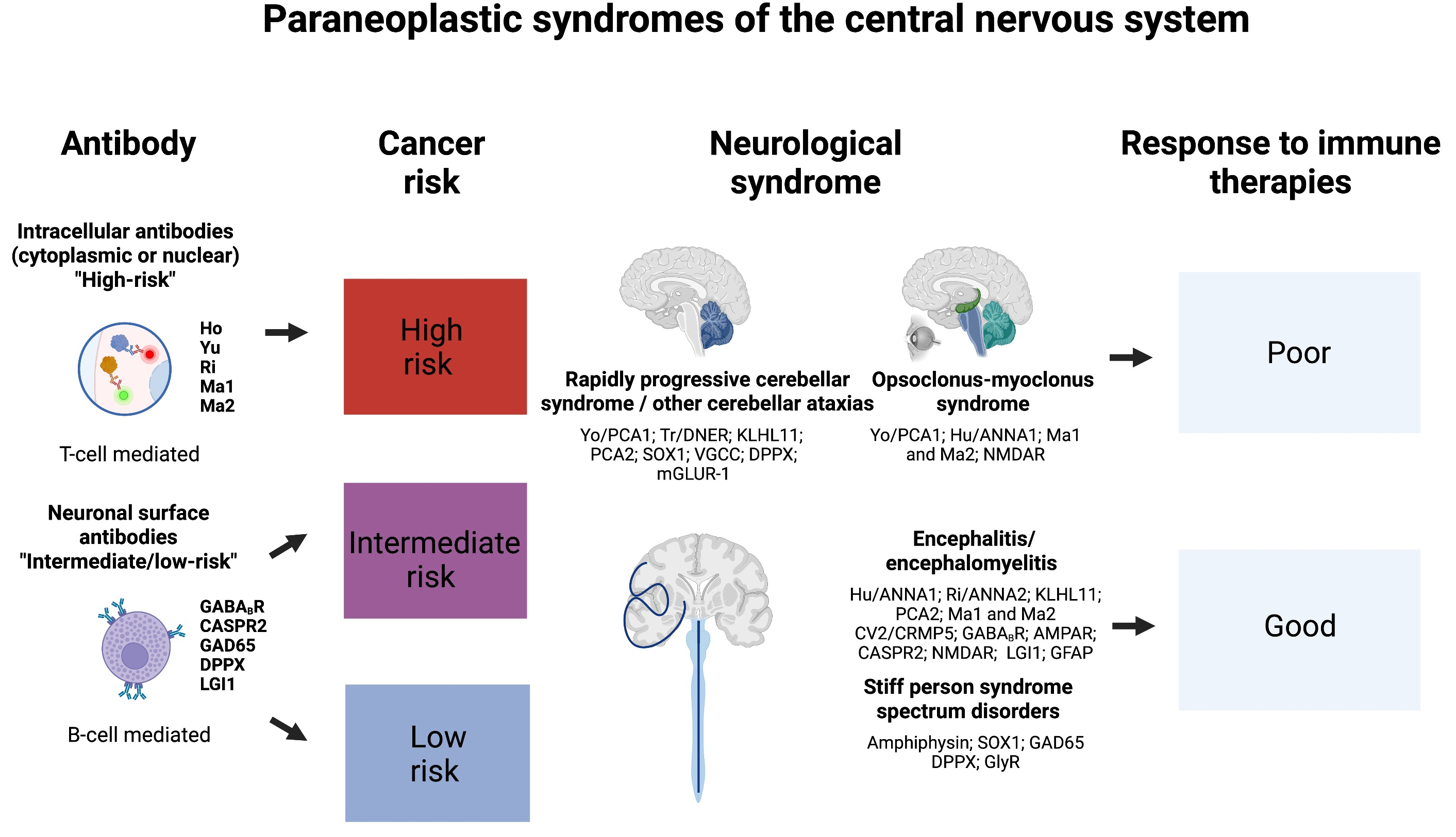 Biomedicines | Free Full-Text | Paraneoplastic Neurological Syndromes ...