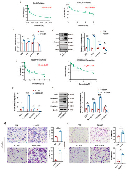 Biomedicines | Free Full-Text | DCLK1 Drives EGFR-TKI-Acquired 