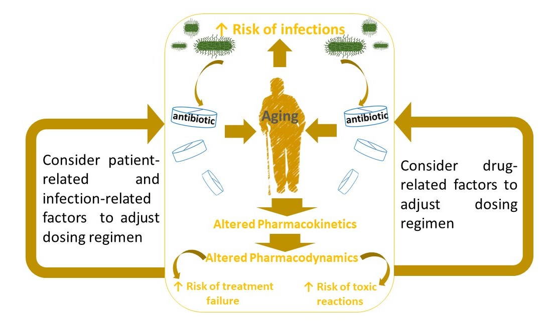 Biomedicines, Free Full-Text