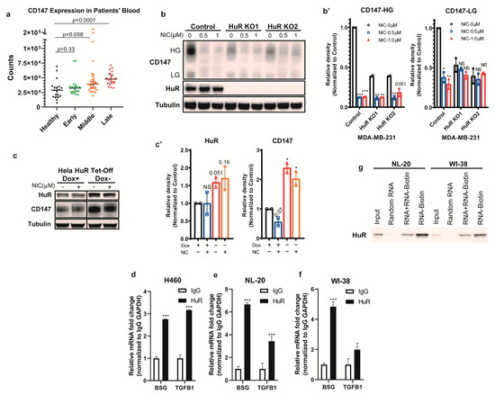 Biomedicines | Free Full-Text | Repurposing Niclosamide as a Novel Anti ...