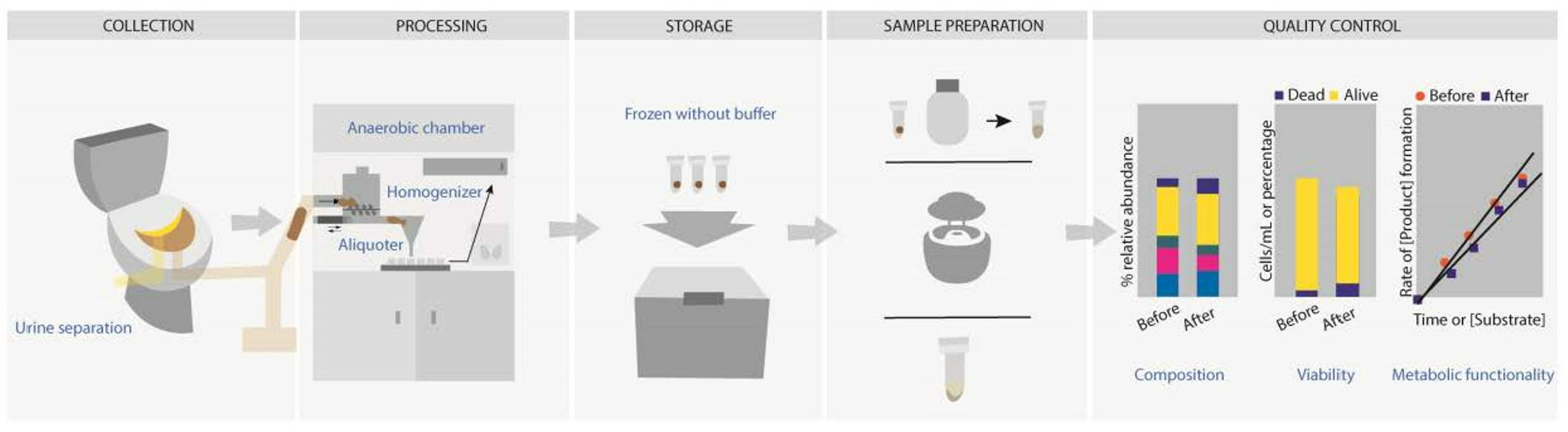 Biomedicines | Free Full-Text | From-Toilet-to-Freezer: A Review 