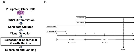 Clonal and Scalable Endothelial Progenitor Cell Lines from Human ...