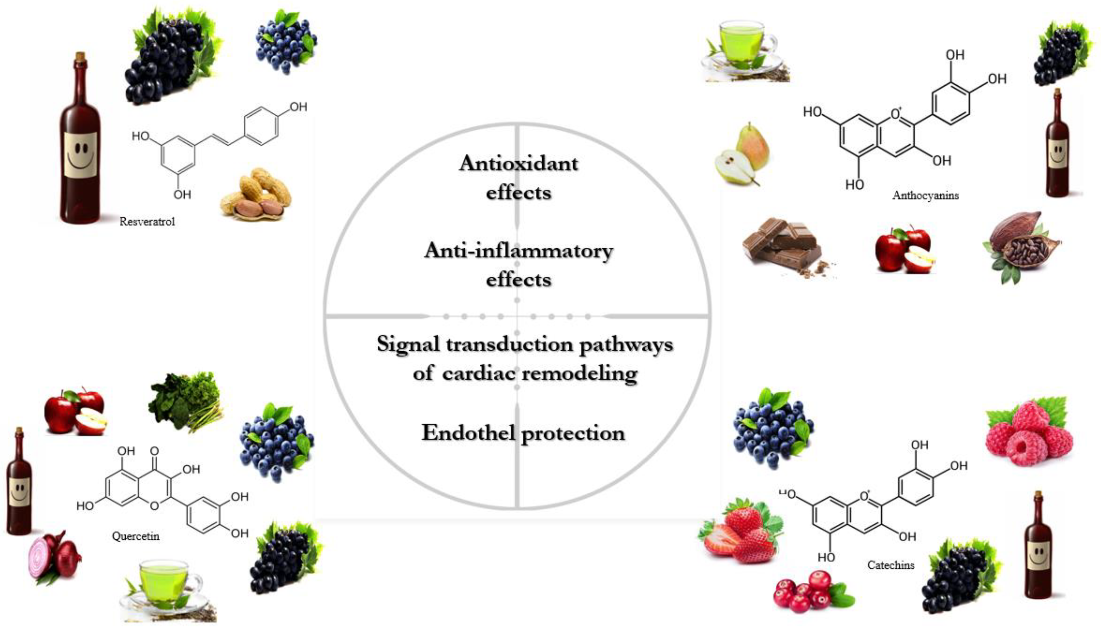 Biomedicines | Free Full-Text | Resveratrol and beyond: The Effect of  Natural Polyphenols on the Cardiovascular System: A Narrative Review