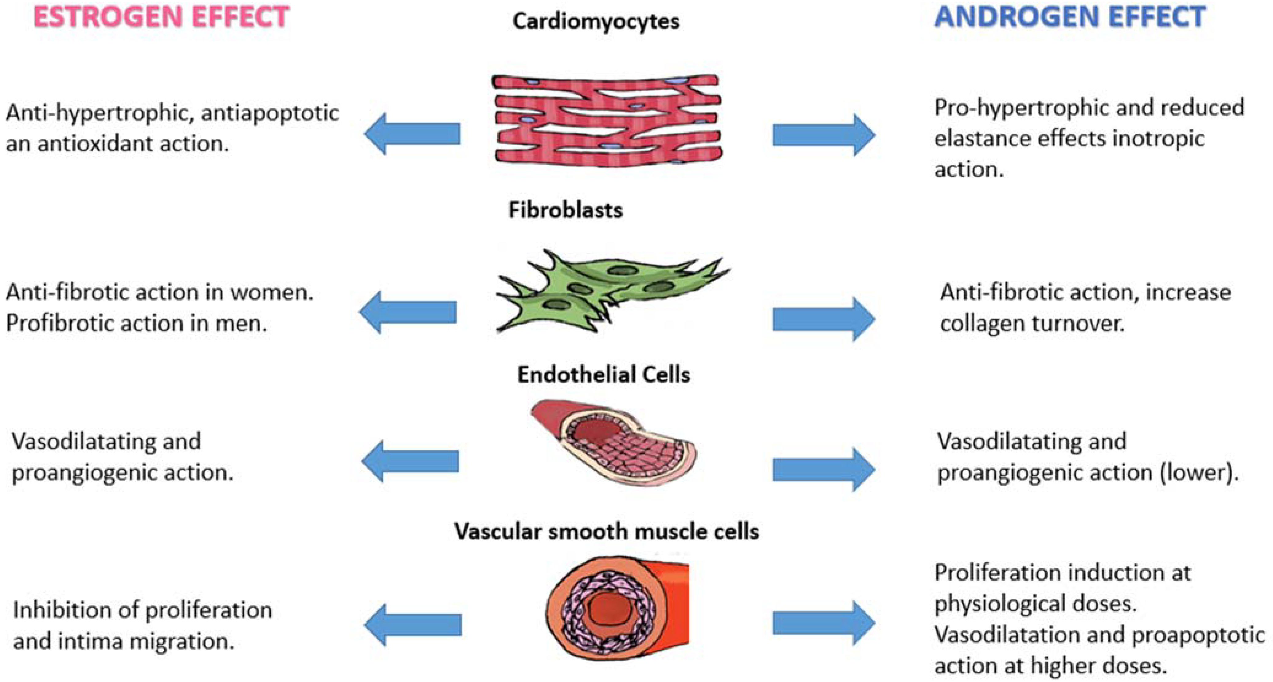 Biomedicines Free Full Text Risk Factors And Cellular Differences