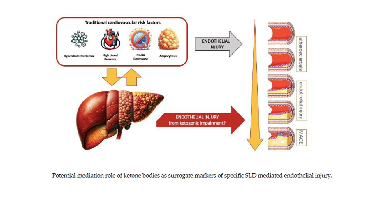 Biomedicines | Free Full-Text | Bridging Metabolic-Associated 