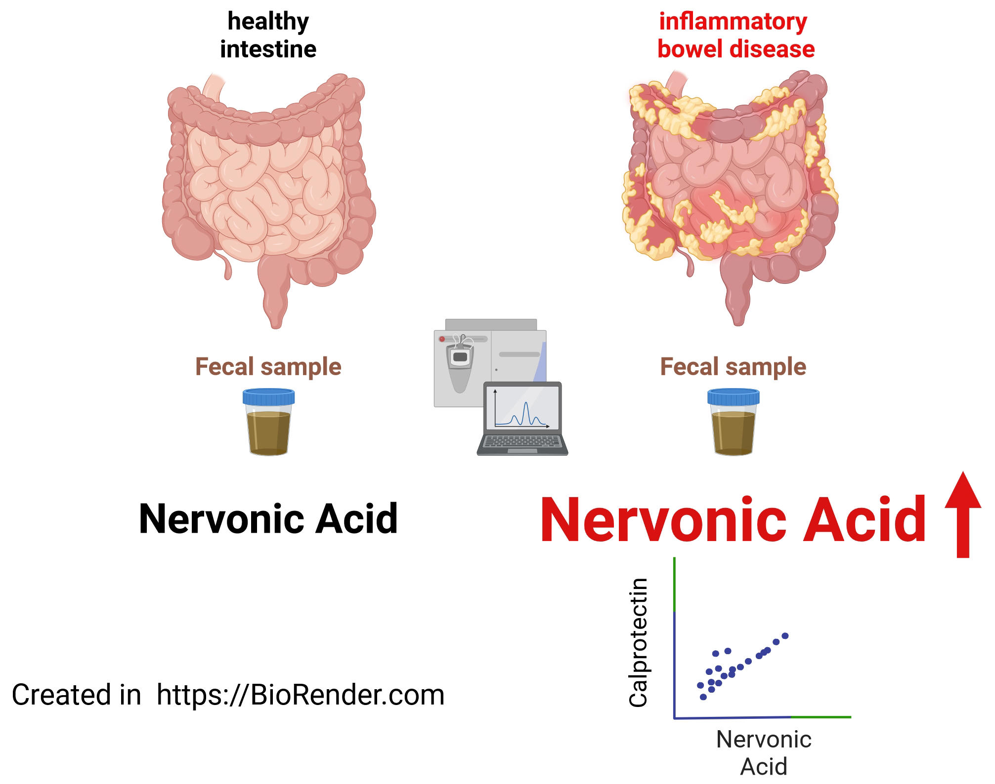 Anti-inflammatory properties of nervonic acid Anti-inflammatory properties of nervonic acid