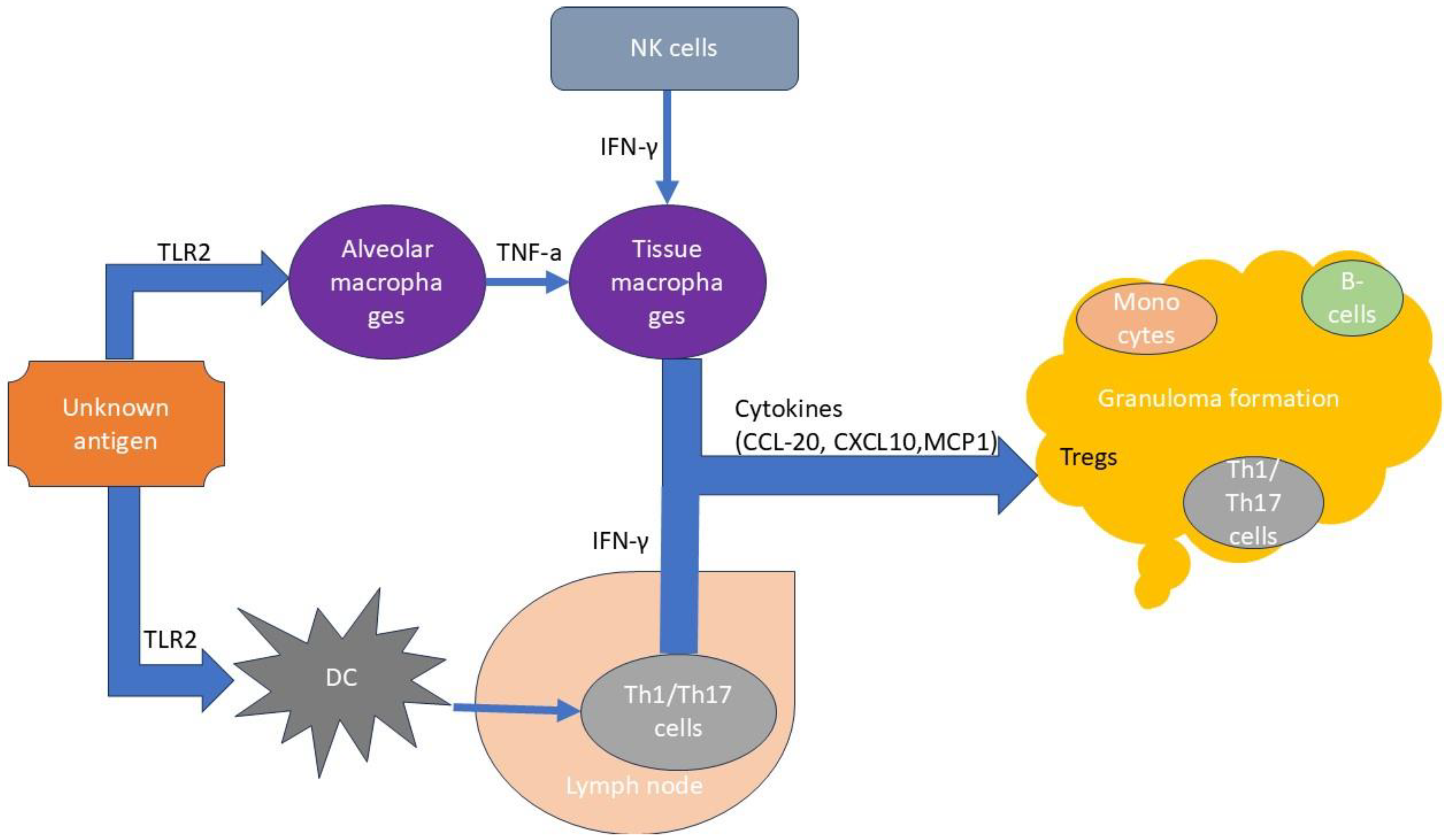 Phenotypes and Endotypes in Sarcoidosis Unraveling Prognosis and  