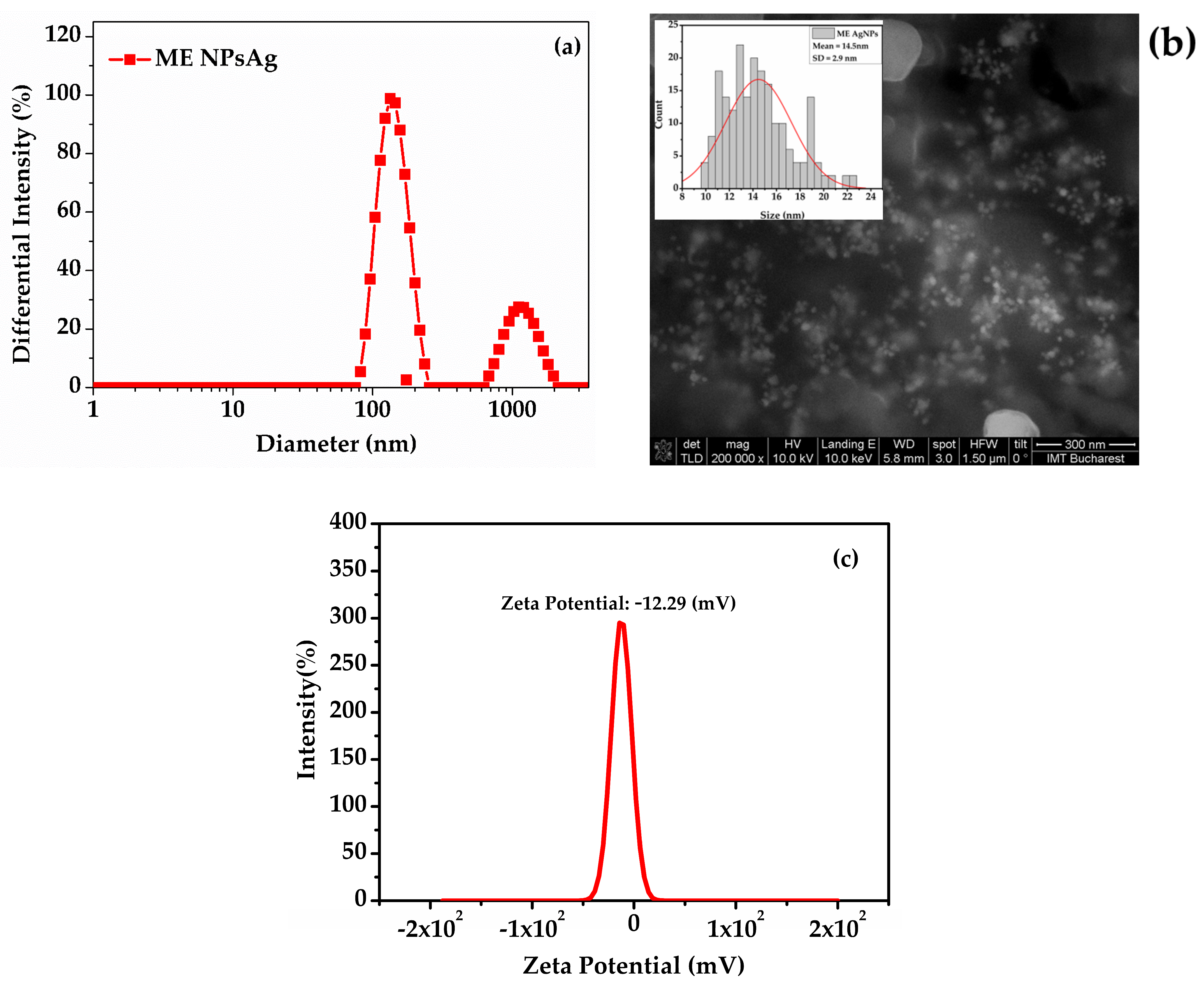 Synergistic Effects of Green Nanoparticles on Antitumor Drug Efficacy ...