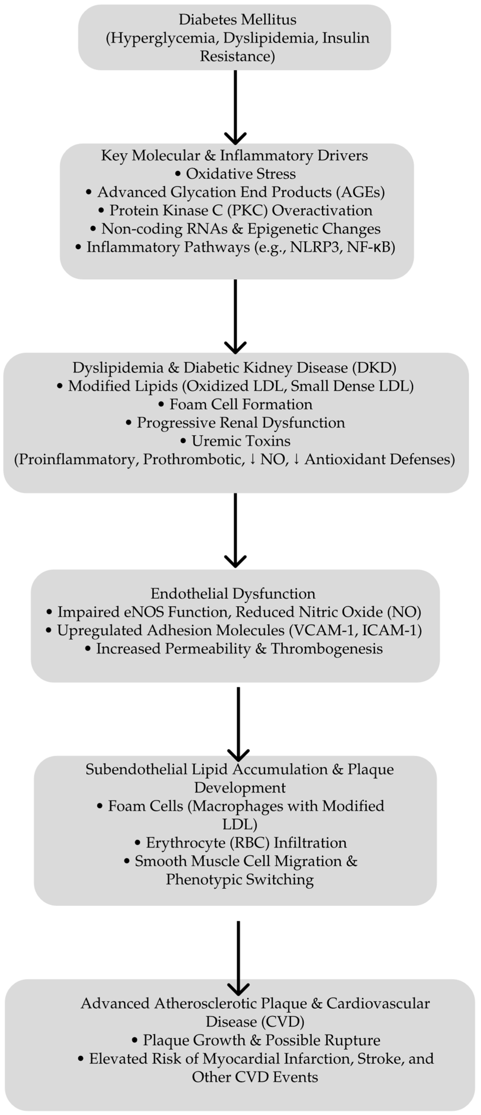Targeting Diabetic Atherosclerosis: The Role of GLP-1