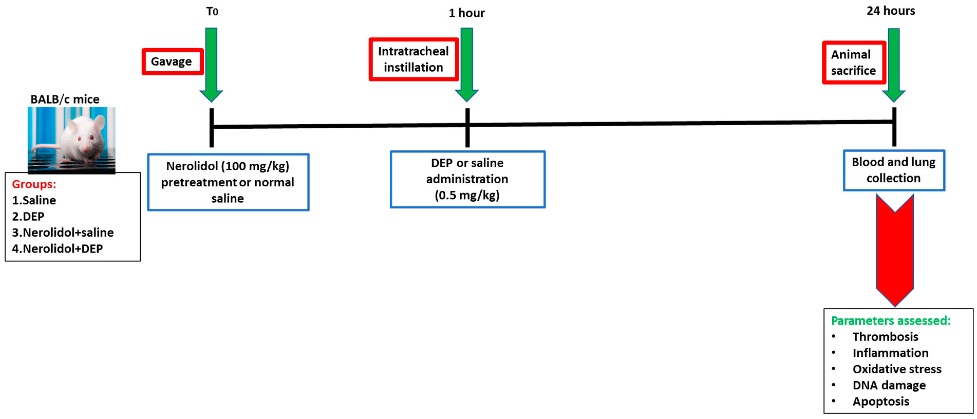 Protective Effects of Nerolidol on Thrombotic Events, Systemic ...